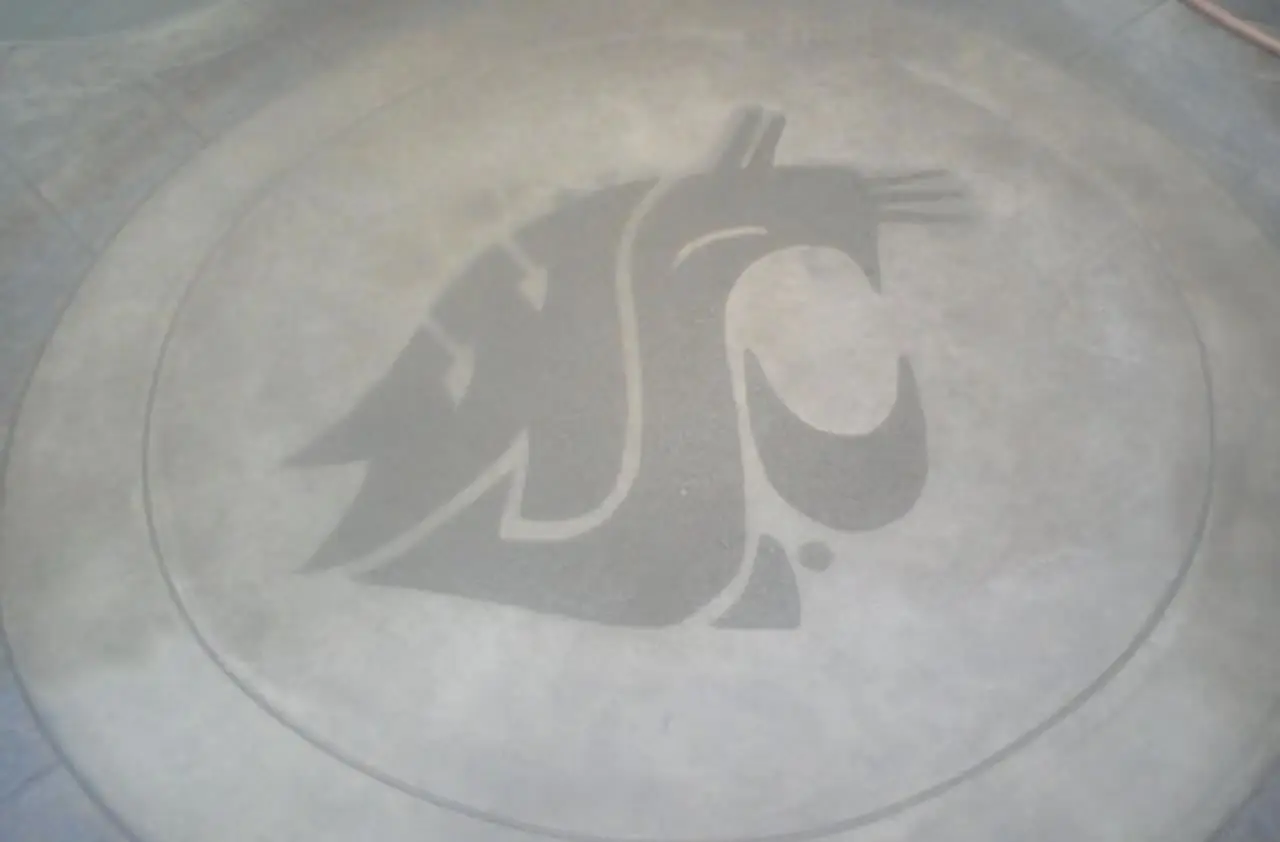 Washington State University Cougar logo inlaid in concrete