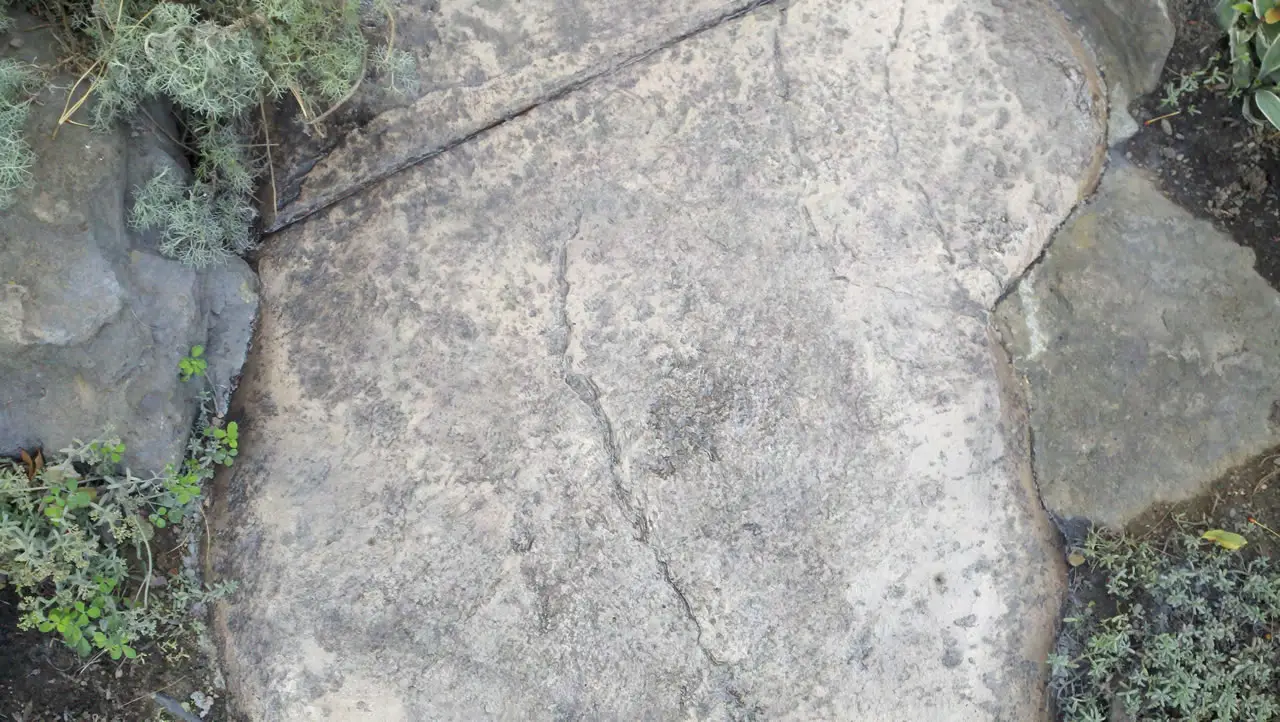 Stamped stone texture close-up