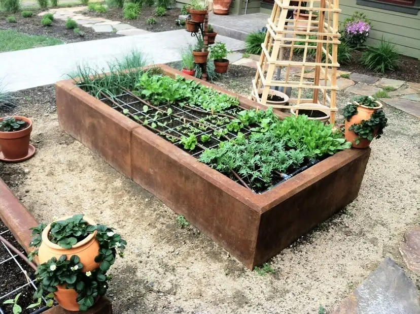 Colored concrete raised garden beds